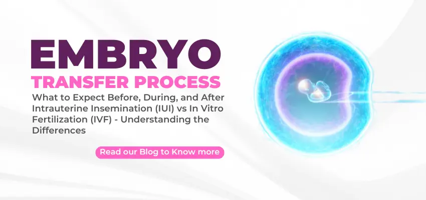 Embryo Transfer Process: What to Expect Before, During, and After